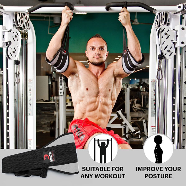 DMoose Fitness Hanging Ab Straps for Abdominal Muscle Building and Core  Strength Training - ColdSeller Sports